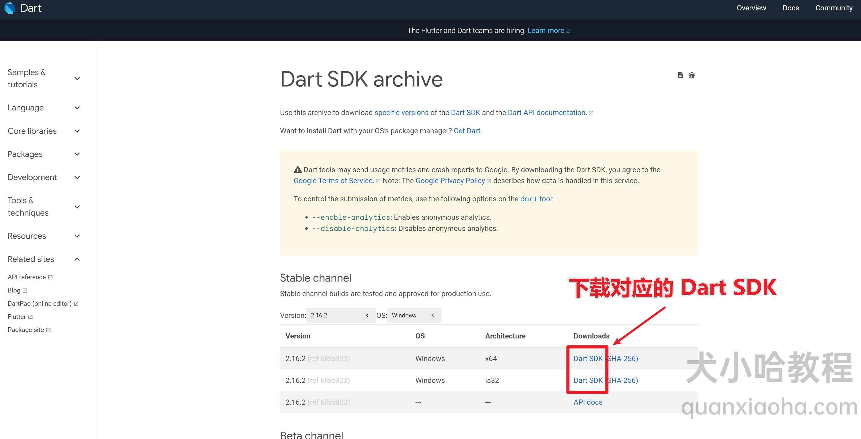 Dart SDK 安装