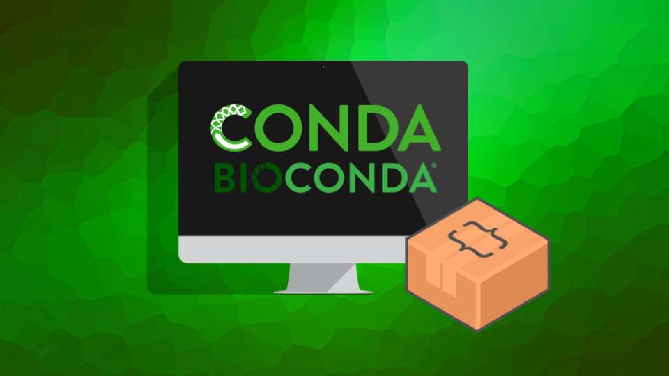 Conda 教程