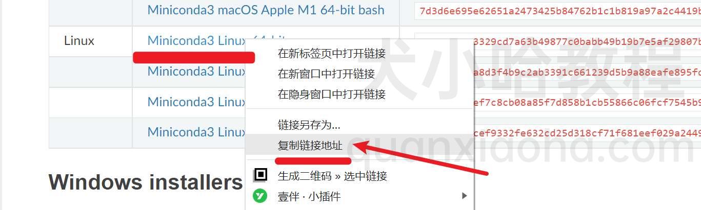 右键 conda 安装包，获取下载链接