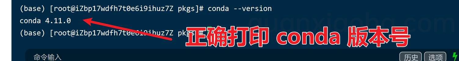 linux 打印 conda 版本号