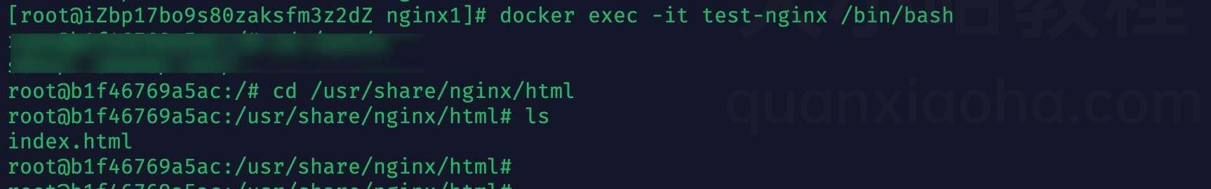 进入 docker 容器