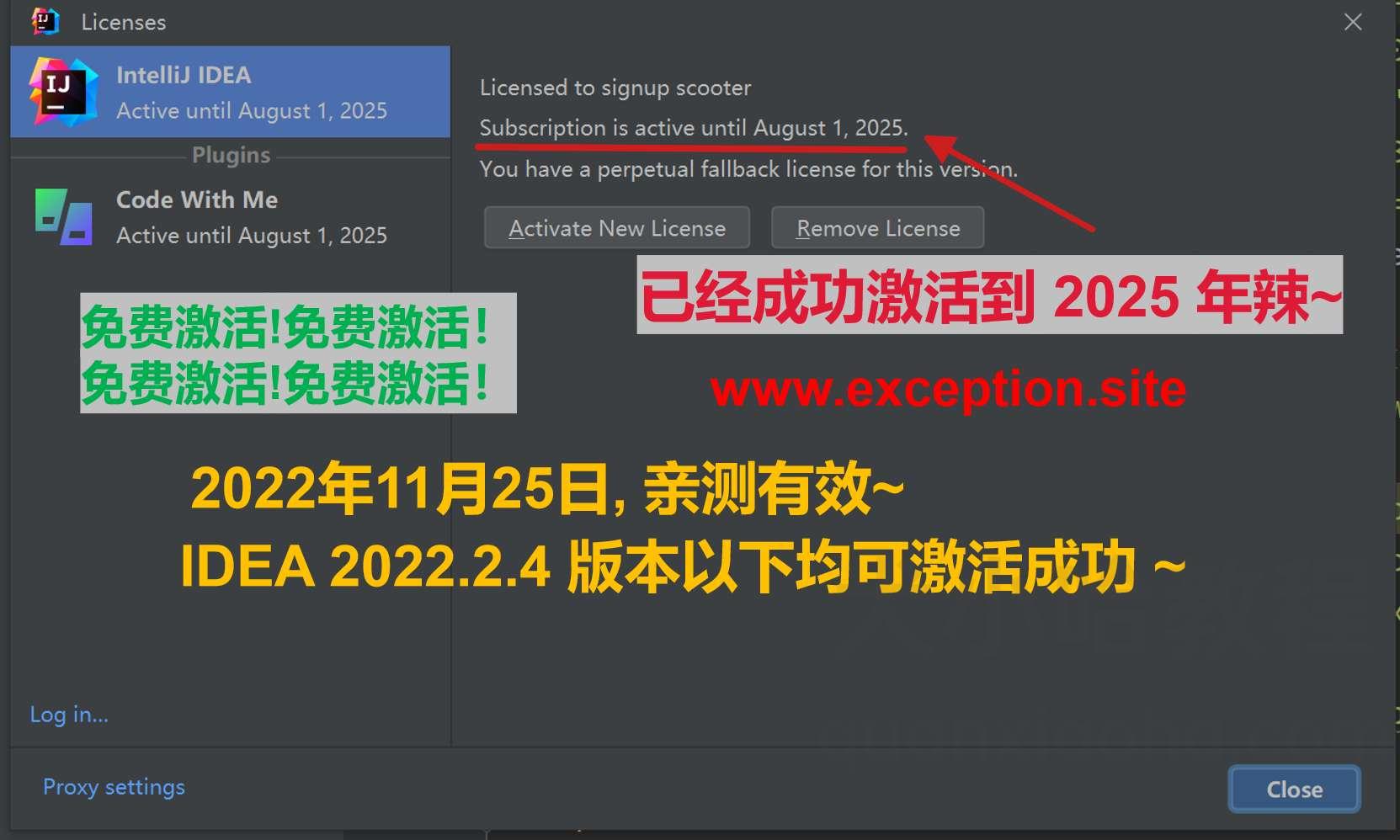 IDEA 2022.2.4 成功激活至2099年截图