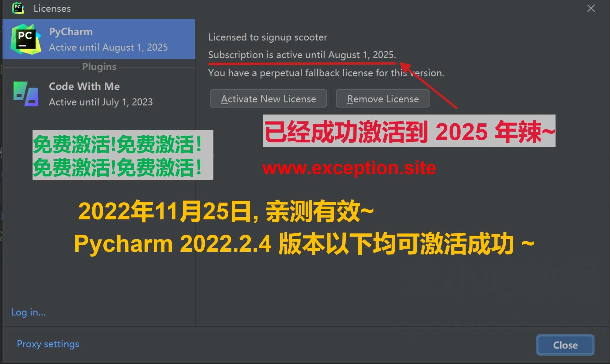 Pycharm 2022.2.4 版本激活破解成功