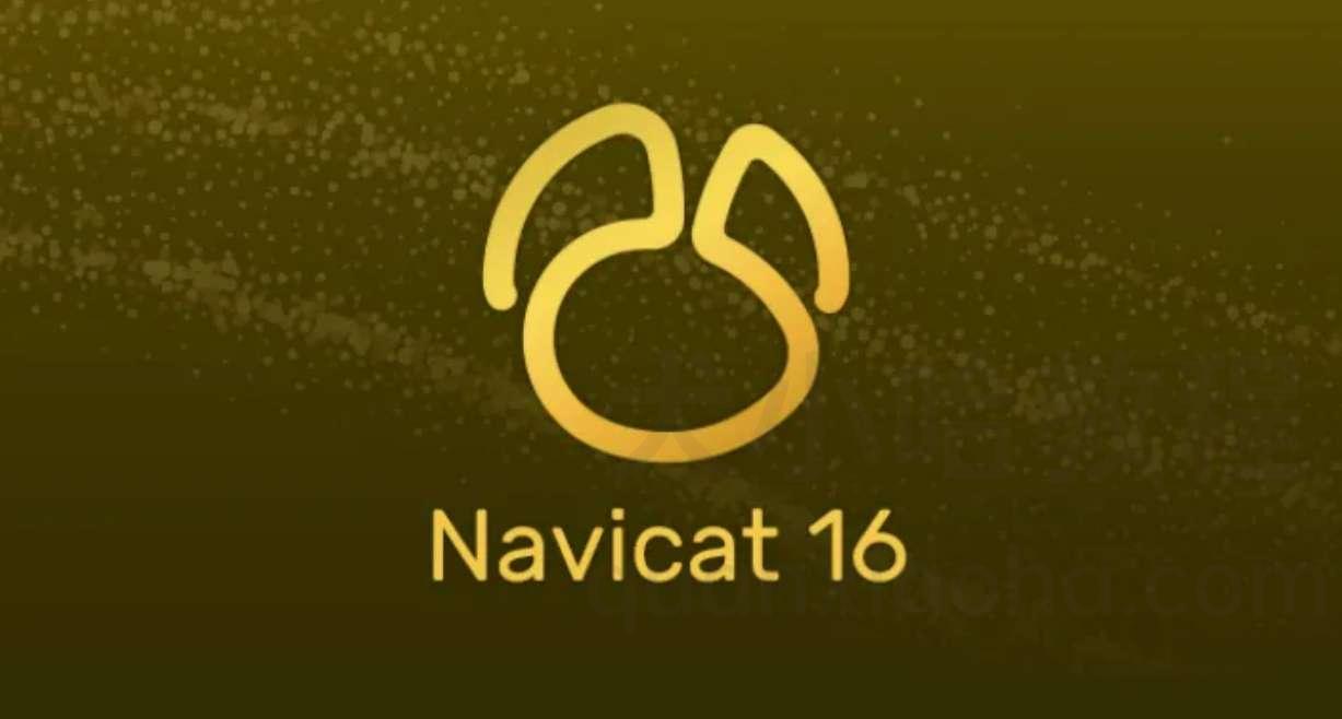 Navicat 16 破解教程