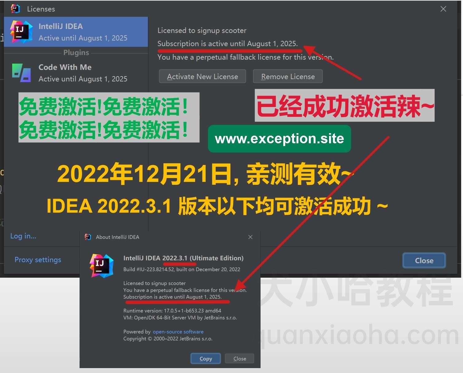 IDEA 2023.3.3 版本激活破解成功