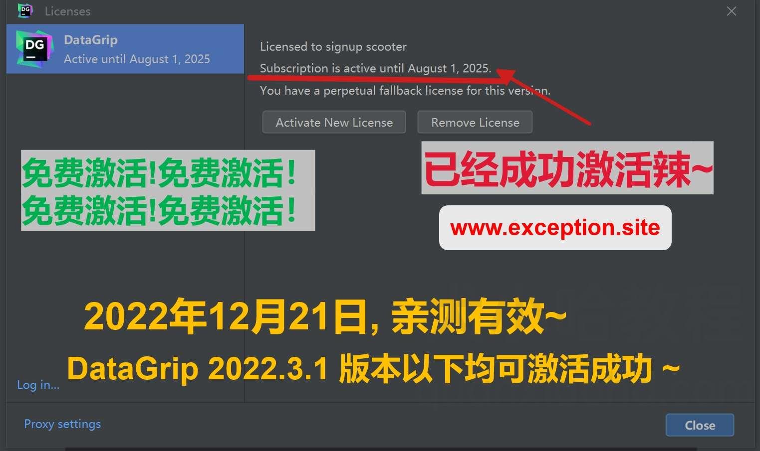 Datagrip 2022.3.1 版本启动界面