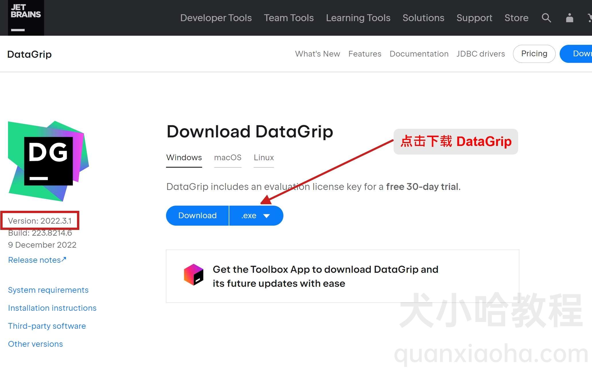 Datagrip 2022.3.1版本官网下载