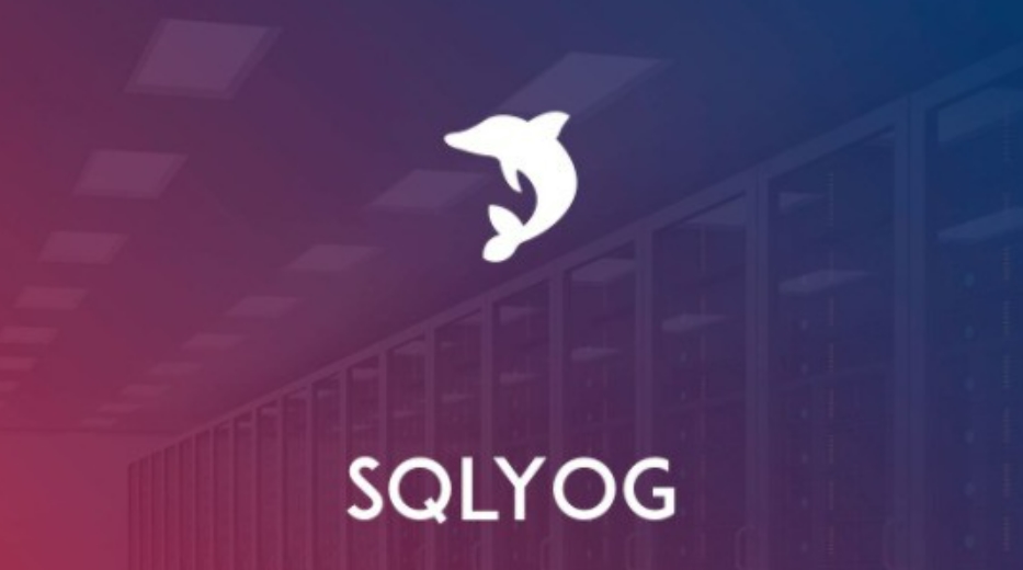 SQLyog 破解教程