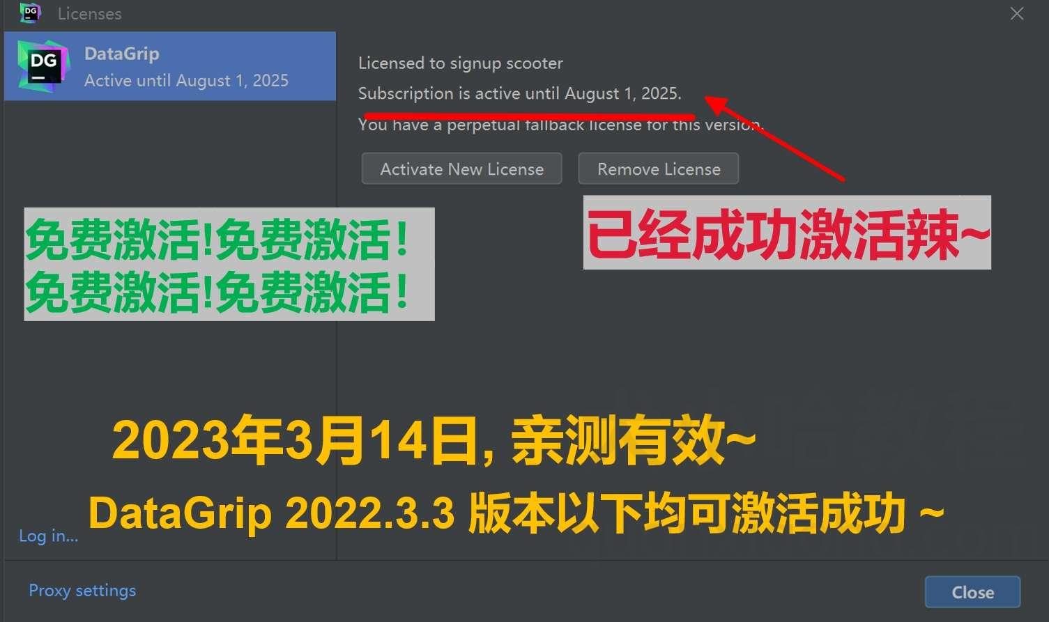 Datagrip 2022.3.3 版本启动界面