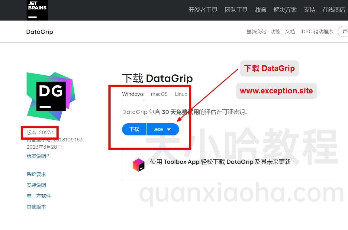 Datagrip 2023.1 版本官网下载