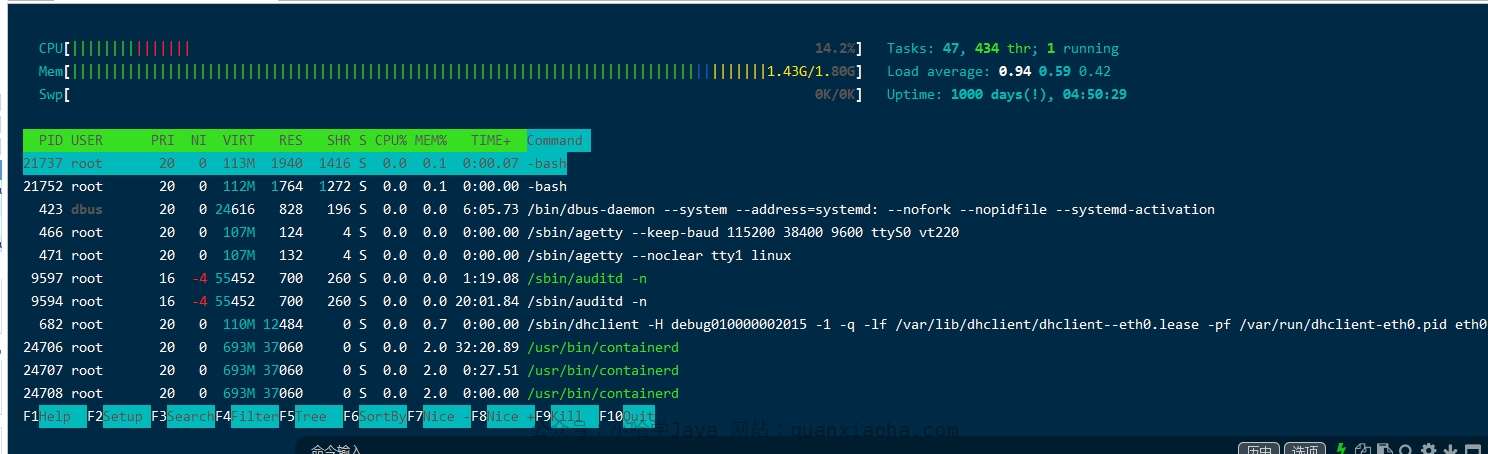 使用 htop 命令