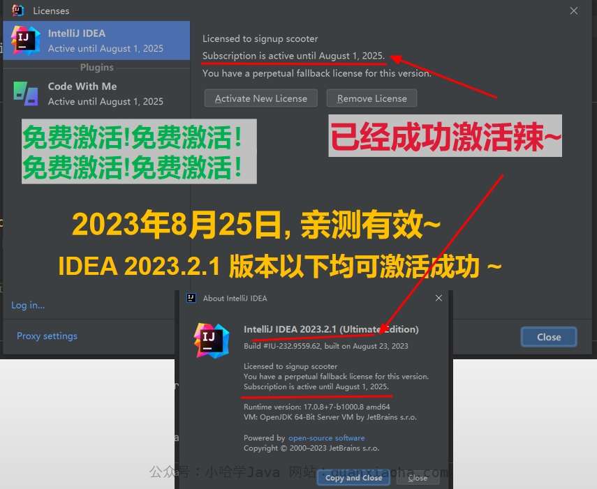 高2B5番】ベネッセ総合学力テスト2023年11月高校2年「数学