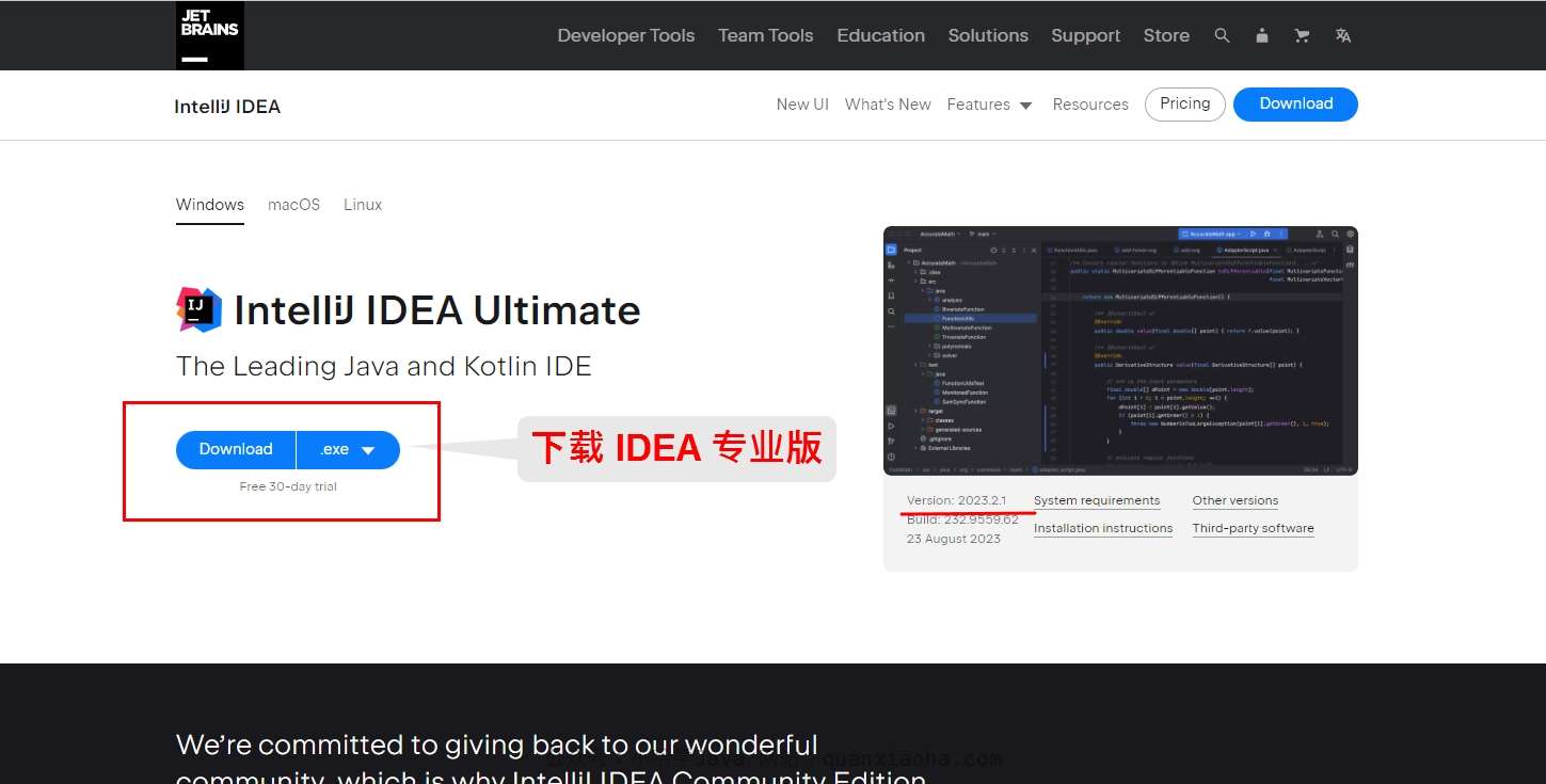 下载 IDEA 2023.2.1 安装包官网界面