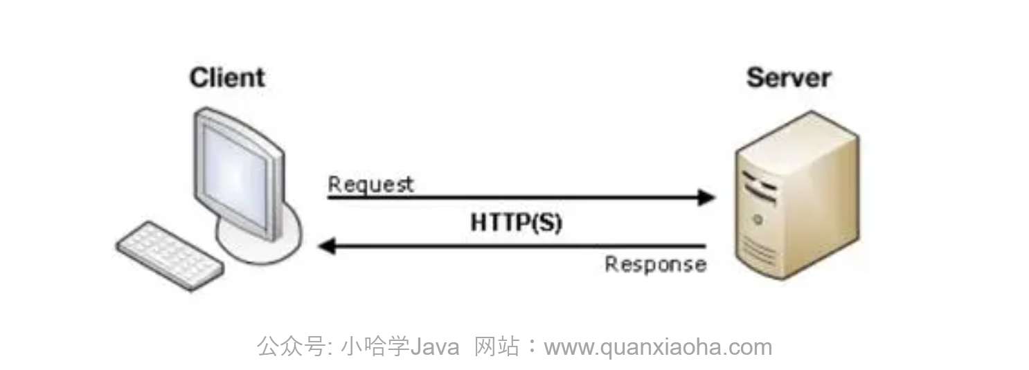 Vue 3 路由