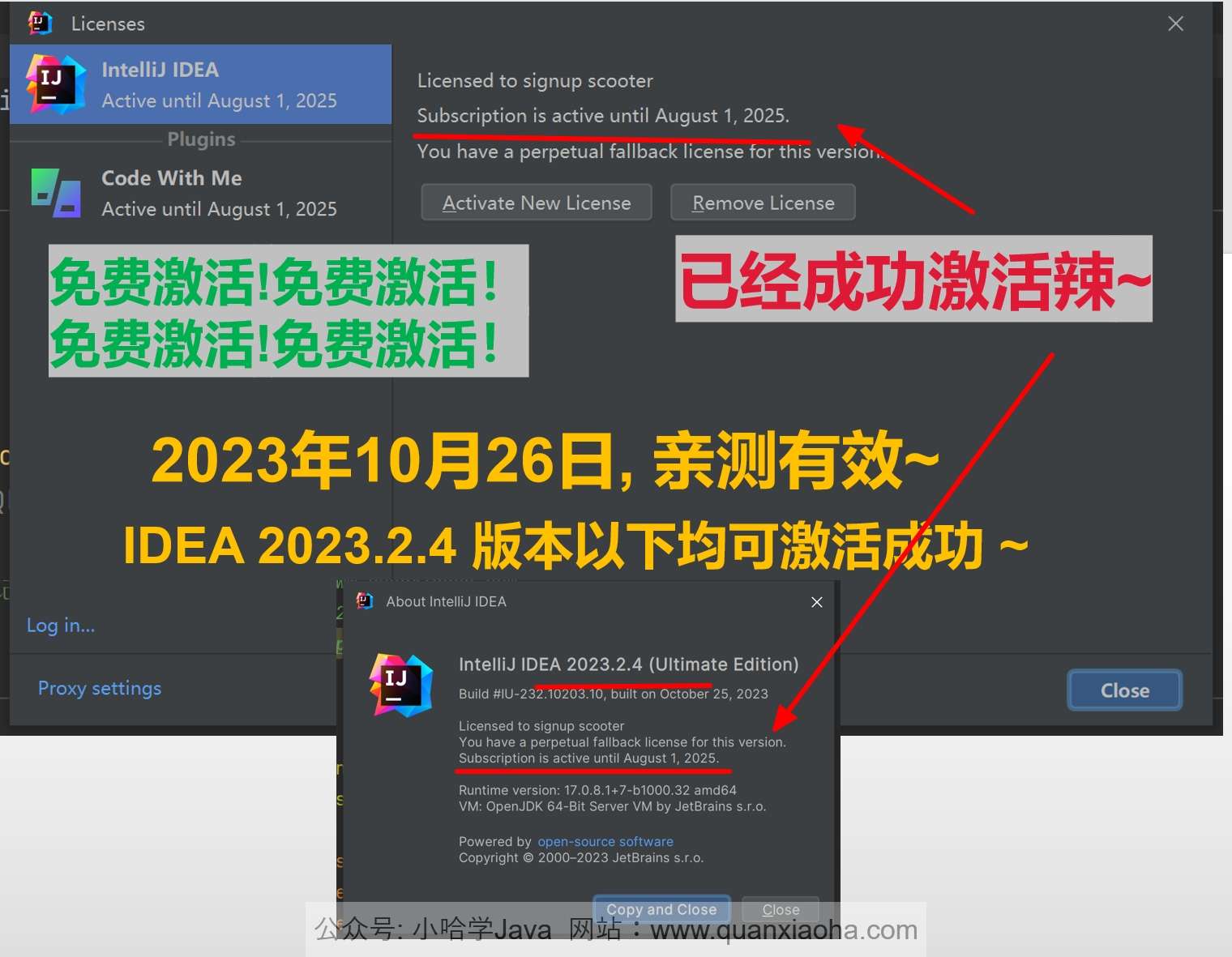 IDEA 2023.2.4 成功破解激活截图