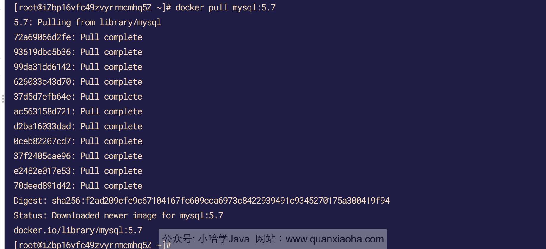 Docker 拉取 MySQL 环境