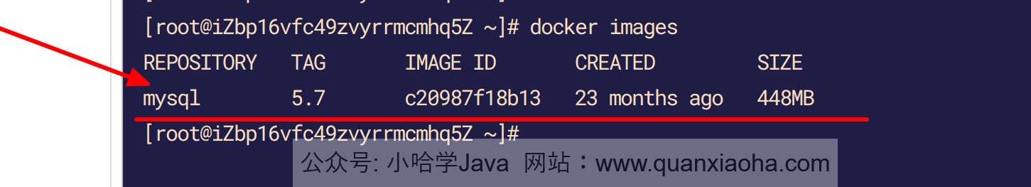 Docker 查看本地已下载的镜像