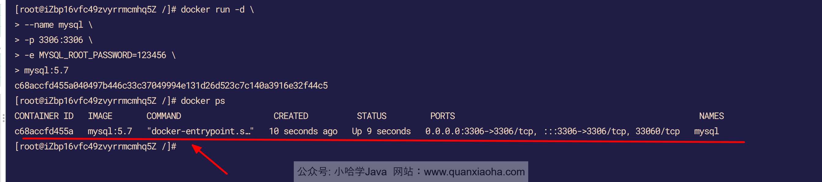 Docker 启动 MySQL 容器