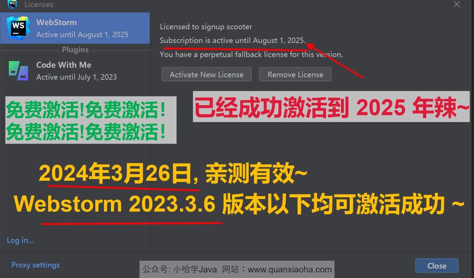 Webstorm 2023.3.6 成功激活至2099年截图