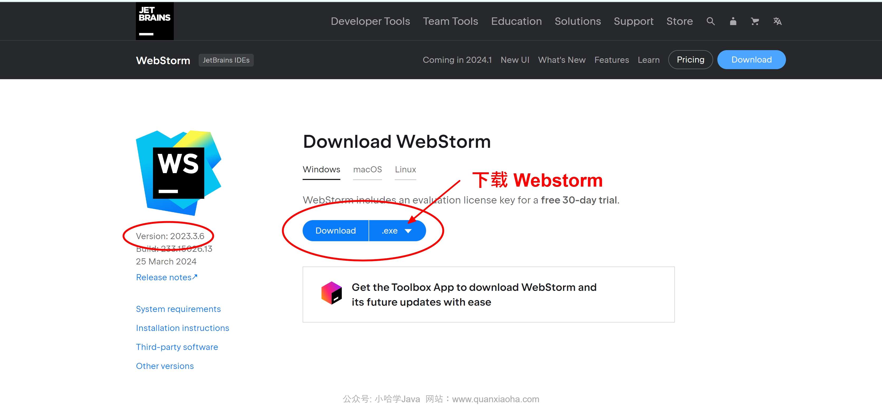 Webstorm 2023.3.6 版本官网下载