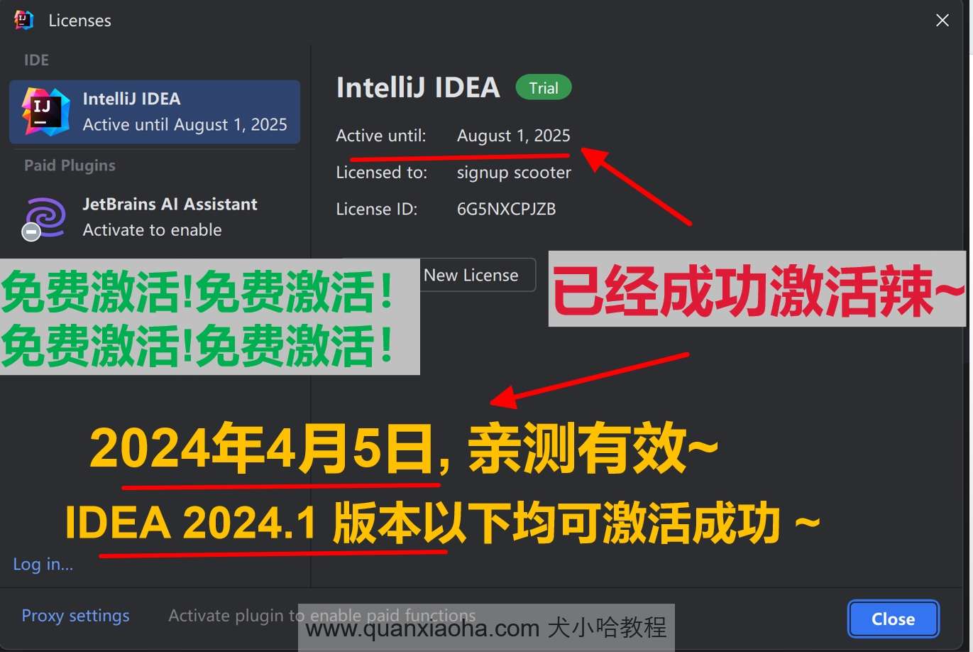 IDEA 2024.1 成功破解激活截图