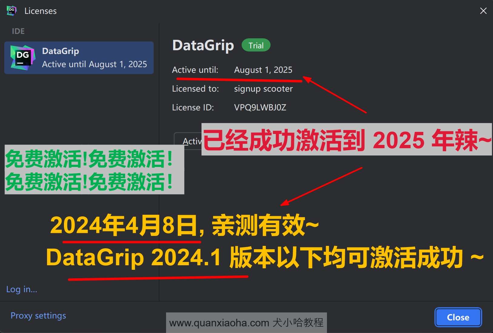 Datagrip 2024.1.1 版本启动界面