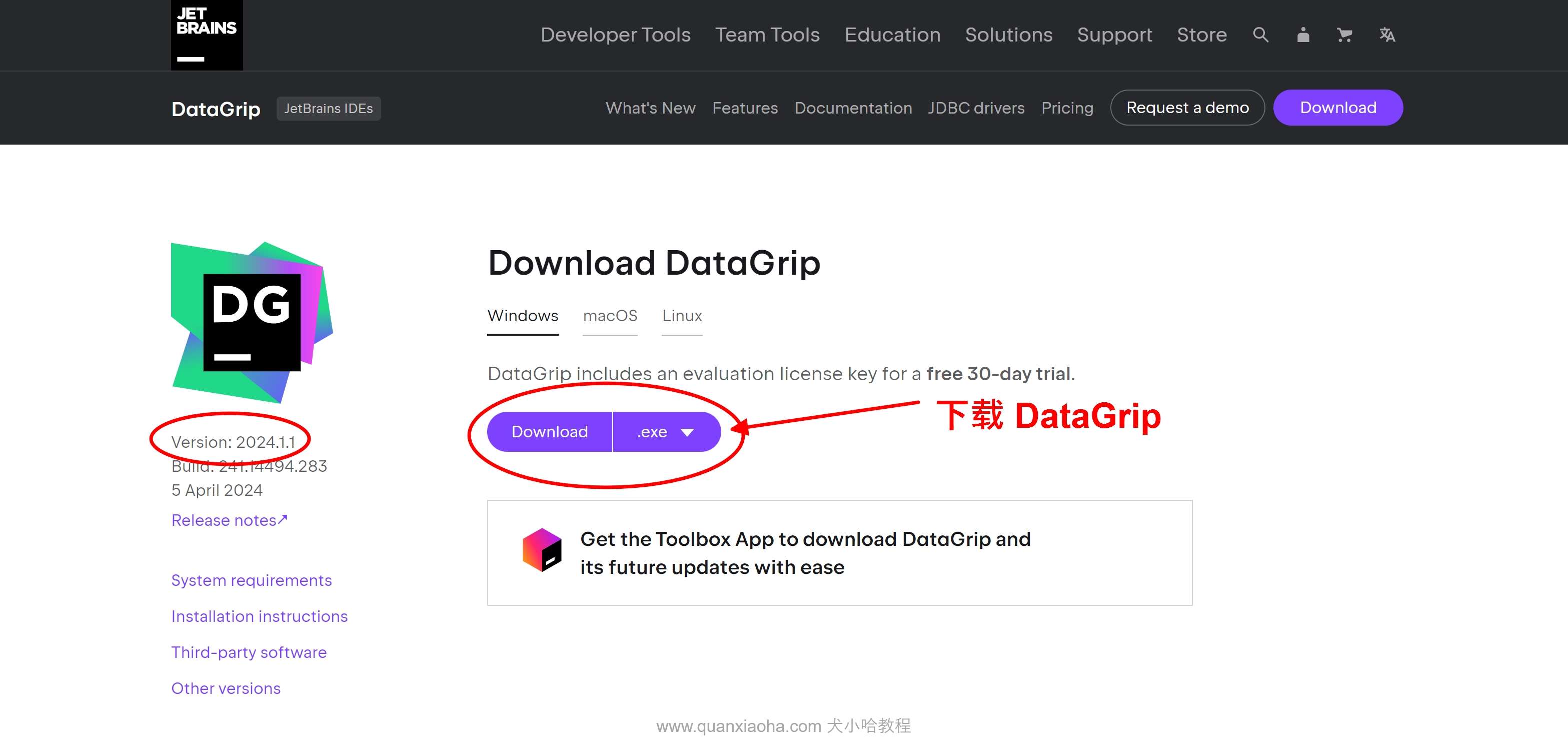 Datagrip 2024.1.1版本官网下载