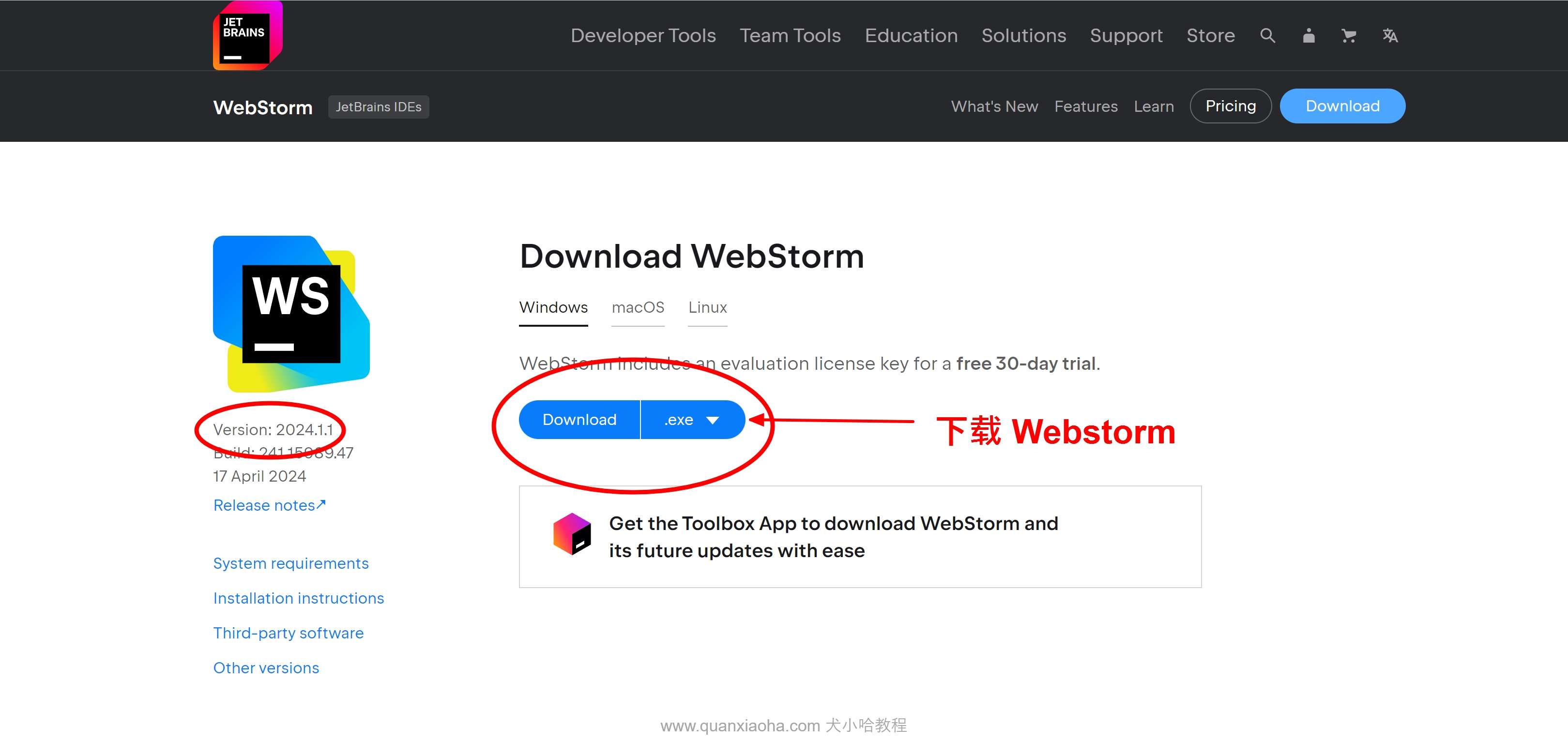 Webstorm 2024.1.1版本官网下载