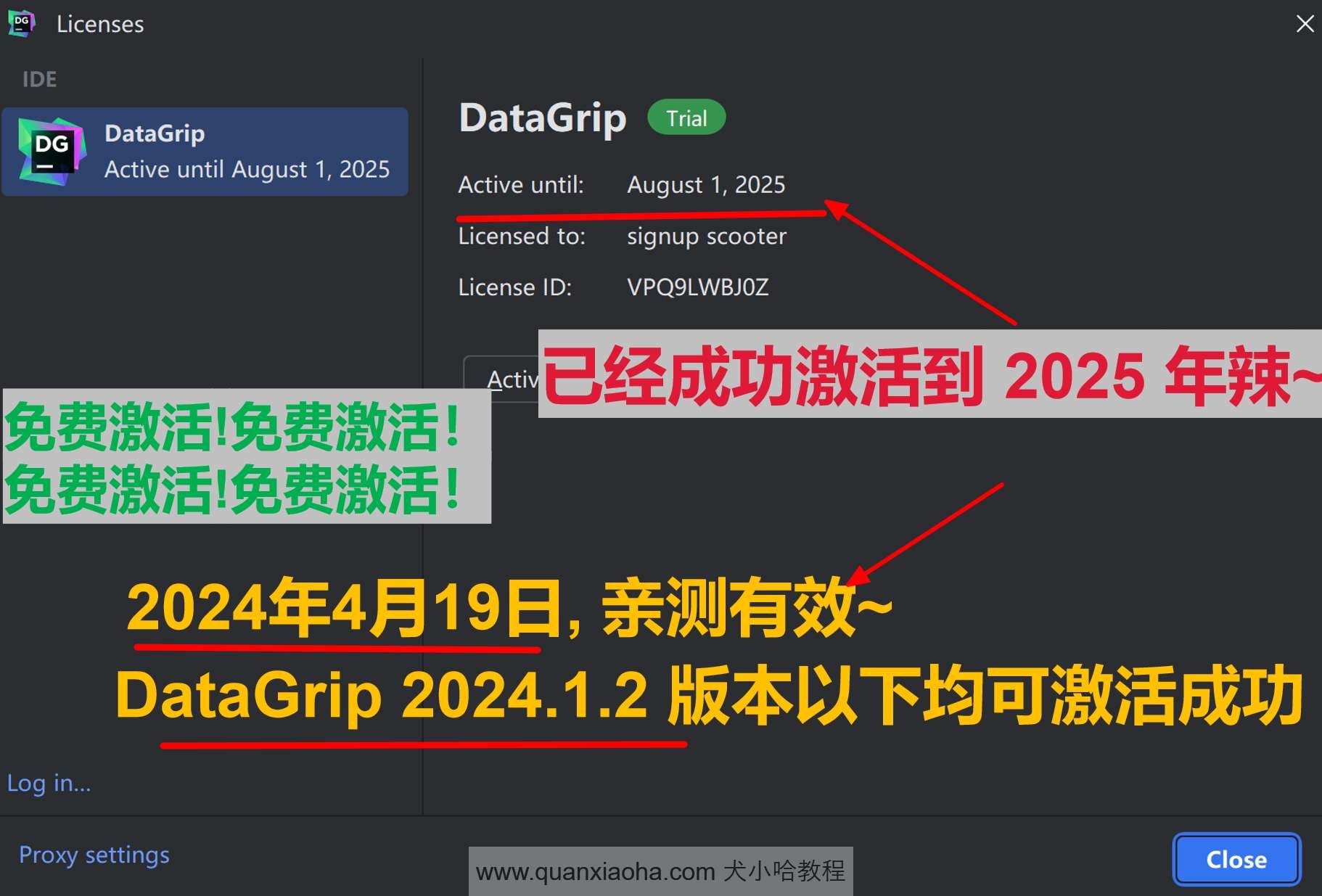Datagrip 2024.1.2 版本启动界面