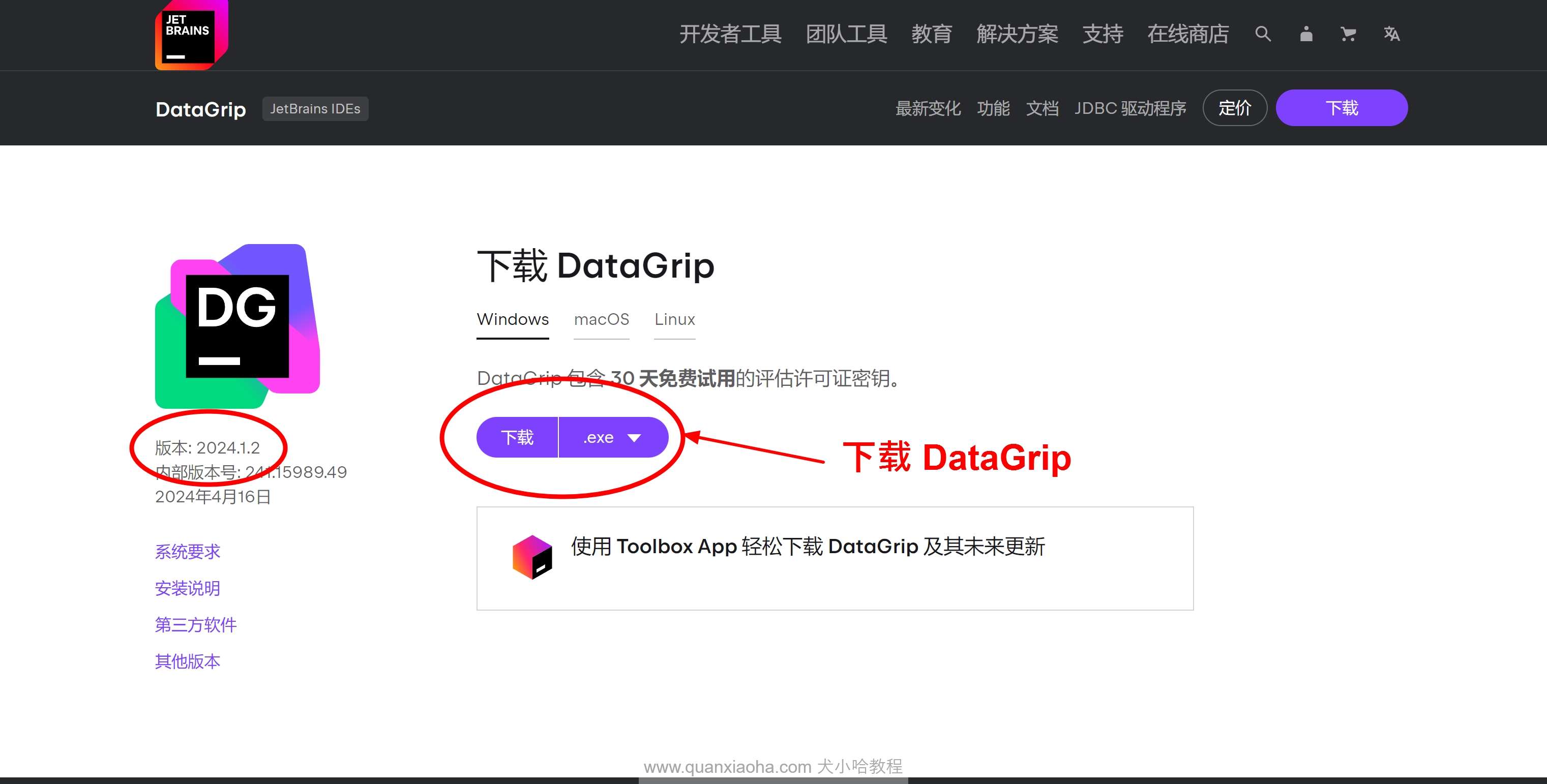 Datagrip 2024.1.2版本官网下载