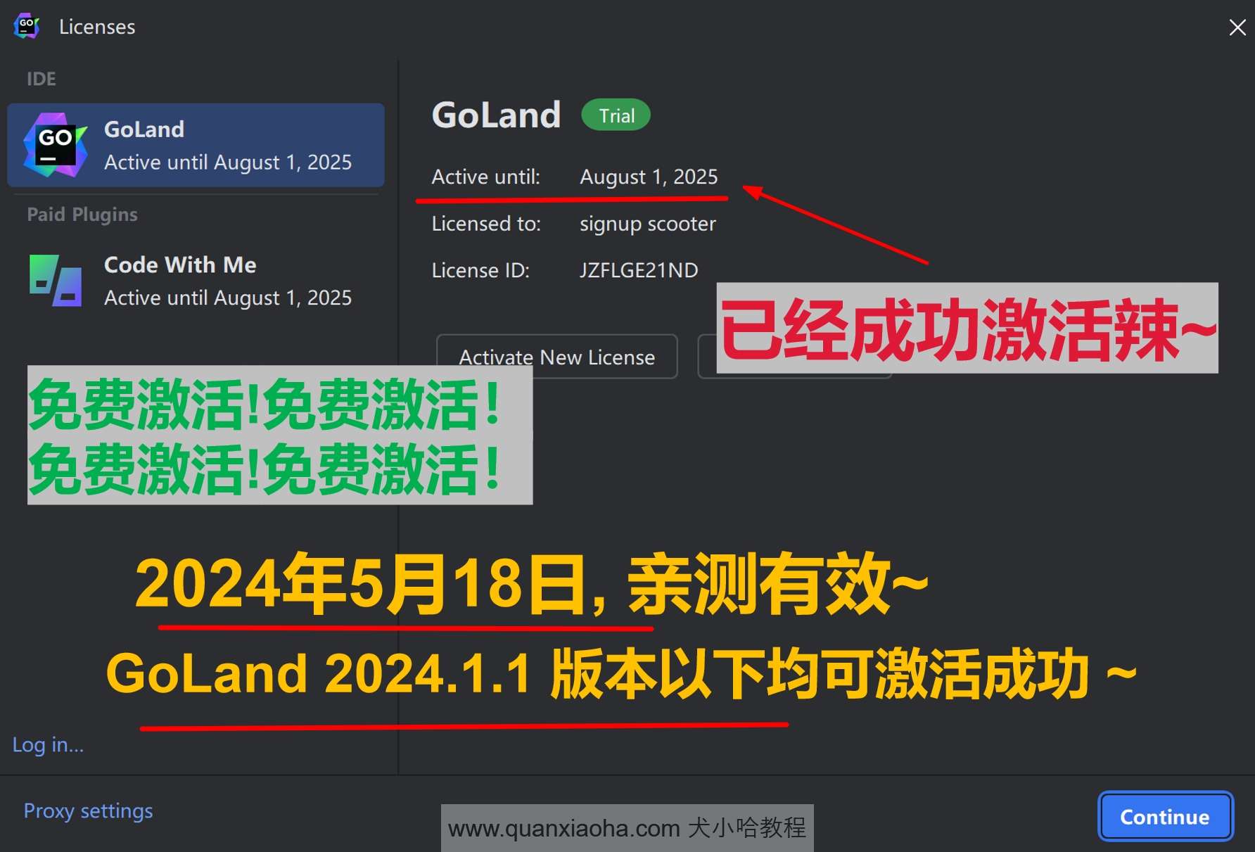 GoLand 2024.1.1 成功破解激活截图