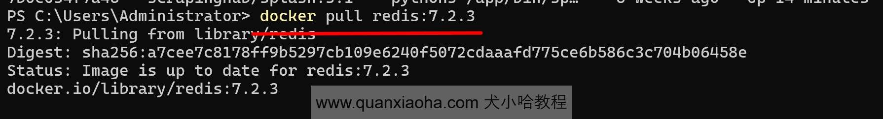 下载 Redis 镜像