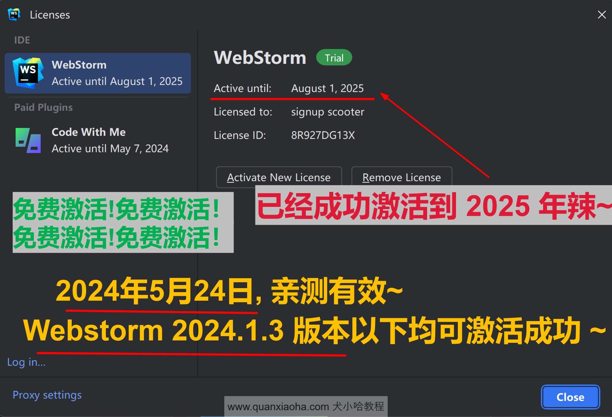 Webstorm 2024.1.3 成功激活至 2099 年截图
