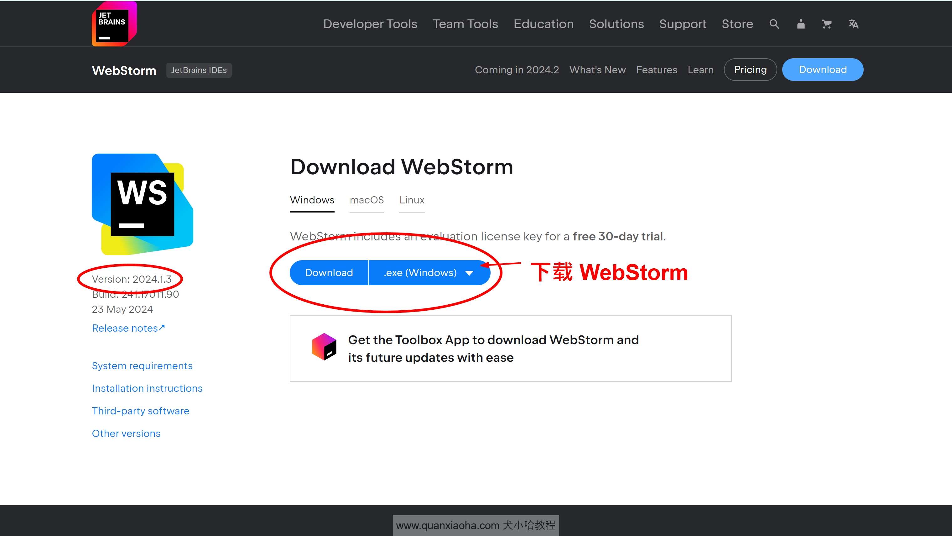 Webstorm 2024.1.3 版本官网下载