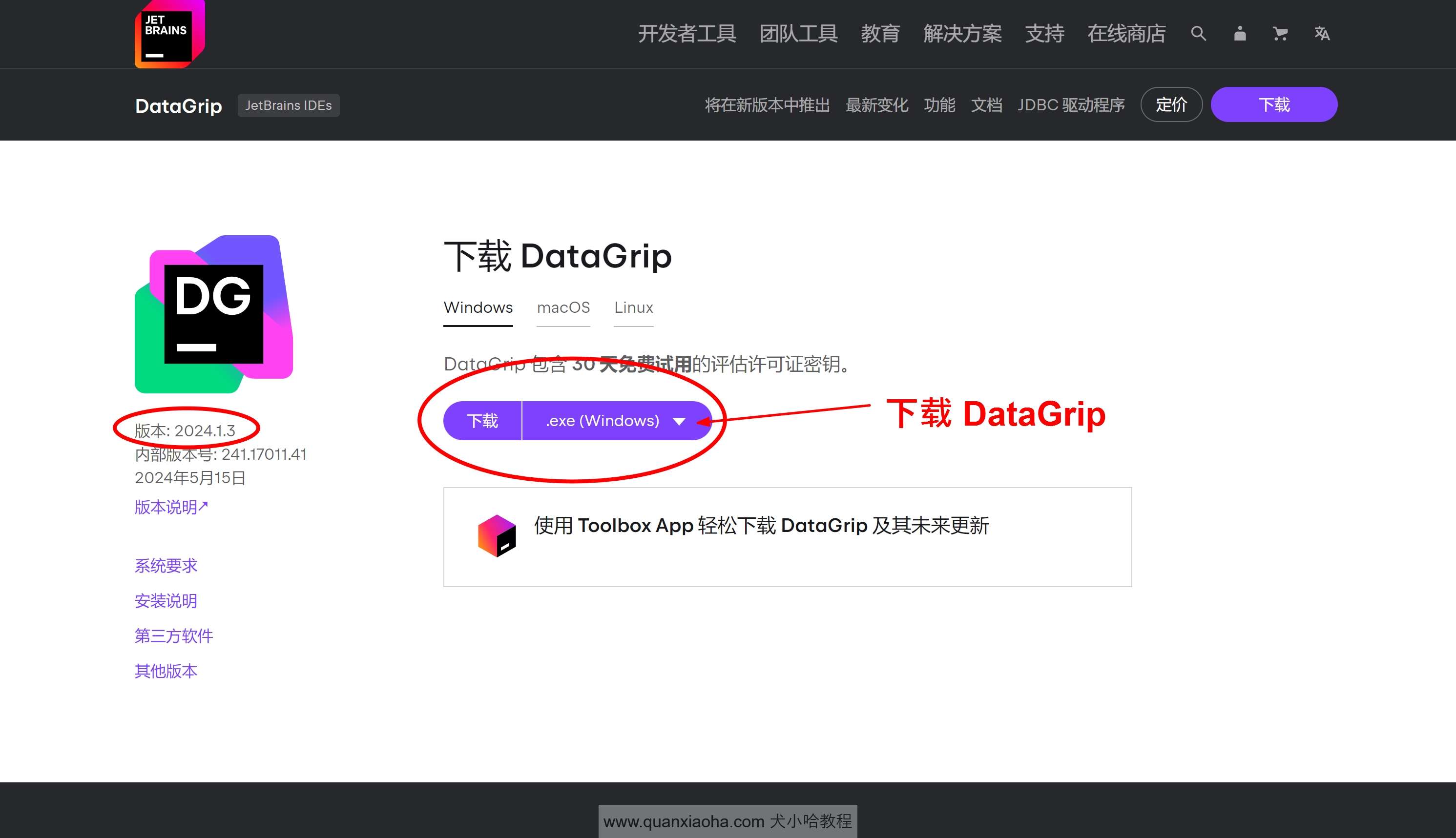 Datagrip 2024.1.3 版本官网下载