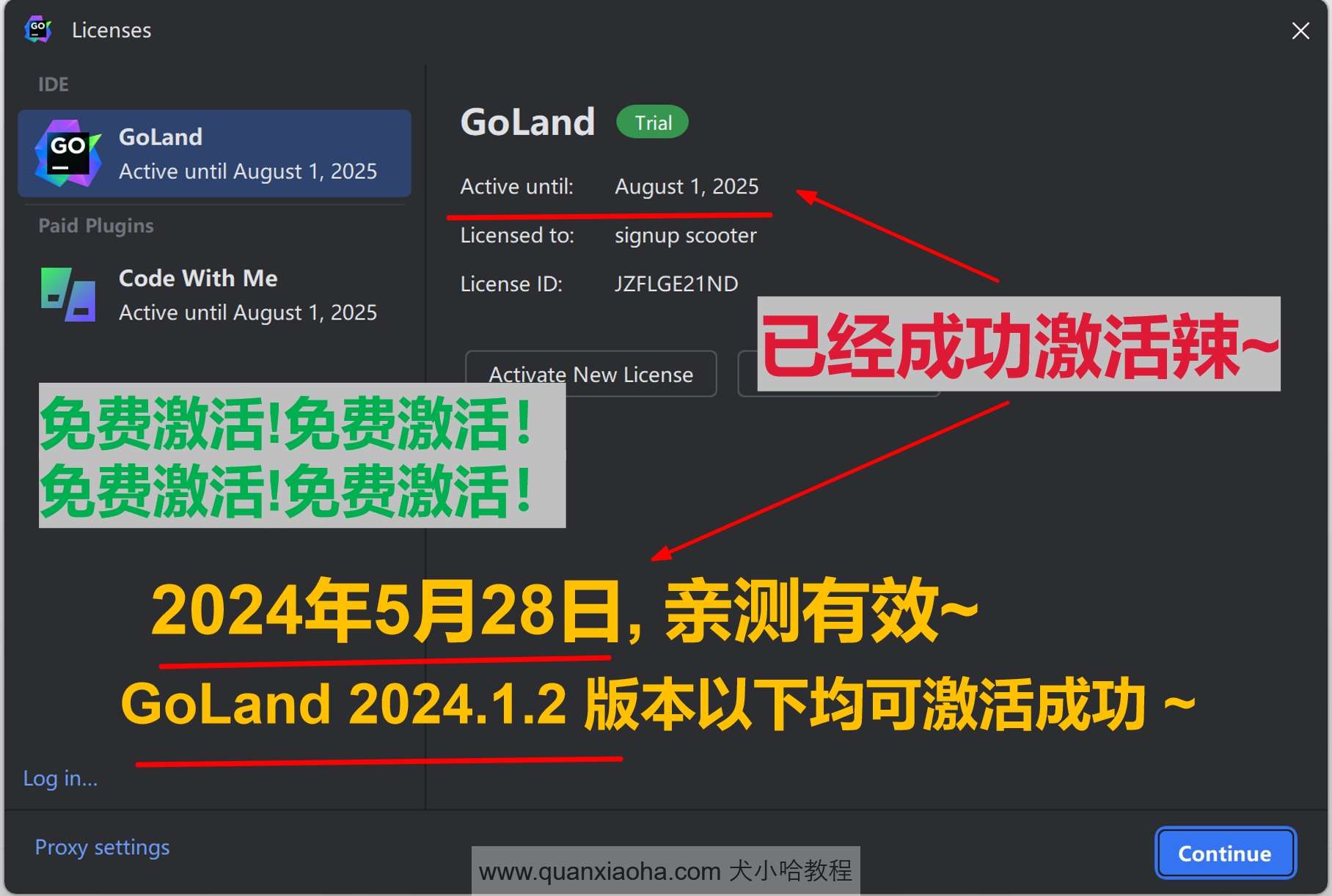 GoLand 2024.1.2 成功破解激活截图