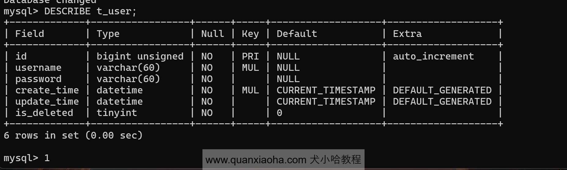 DESCRIBE 命令查看表结构