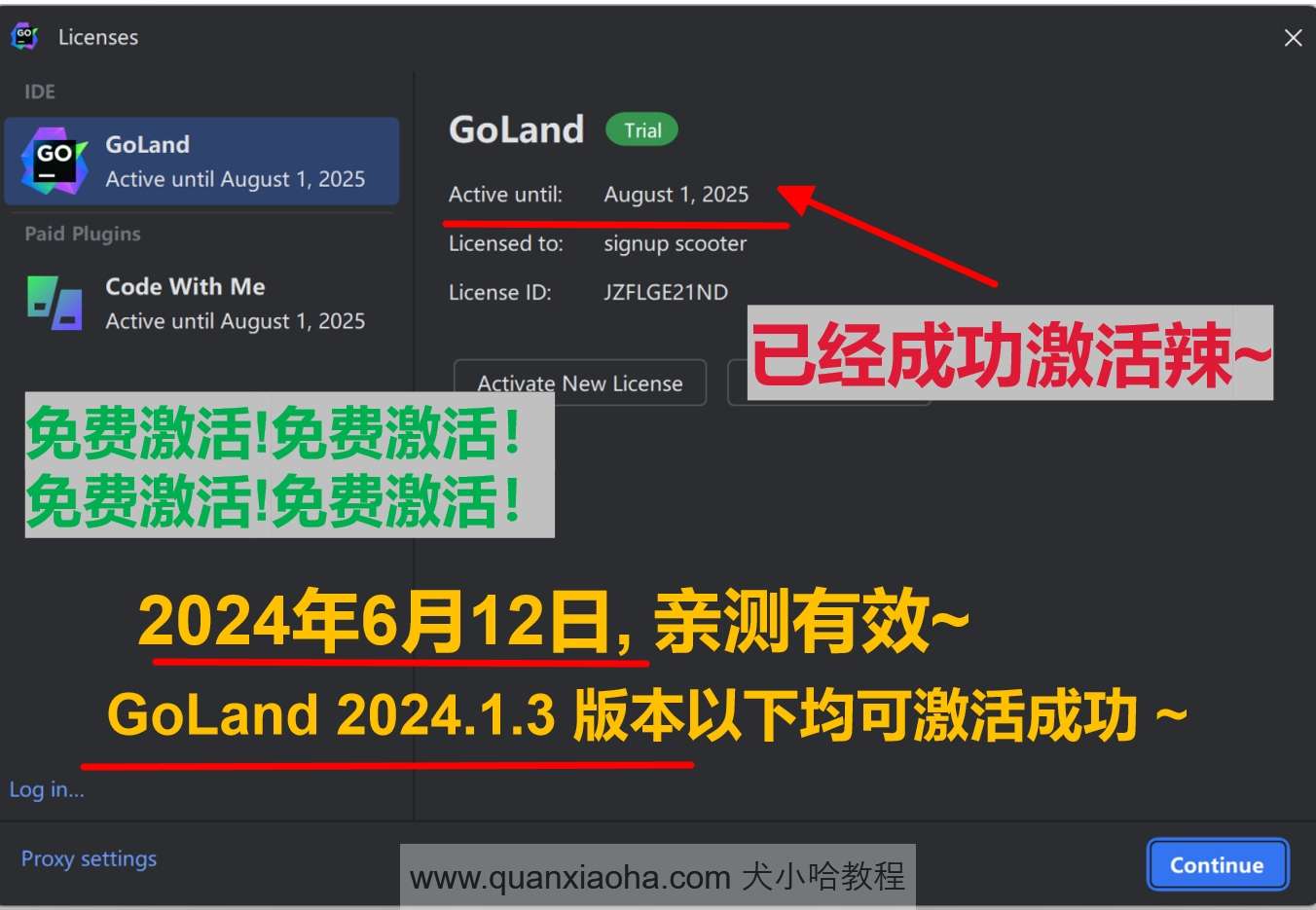 GoLand 2024.1.3 成功破解激活截图