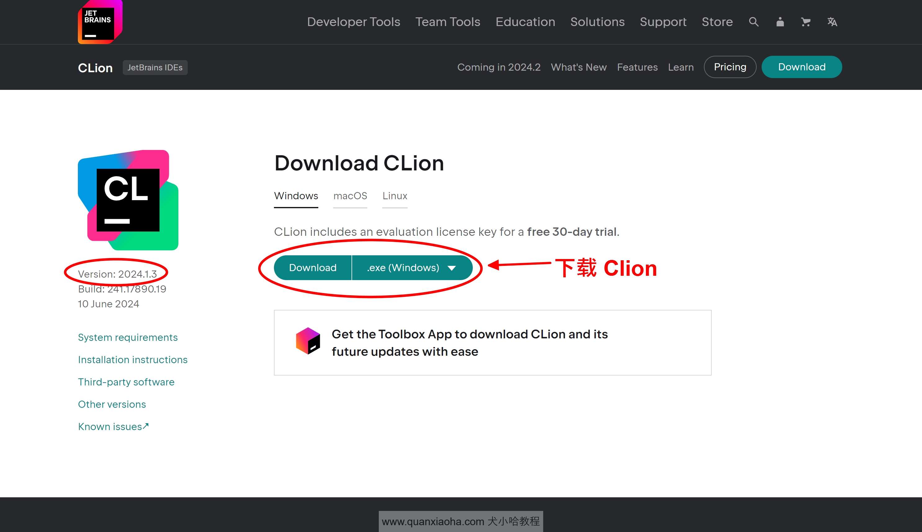 Clion 2024.1.3 版本官网下载