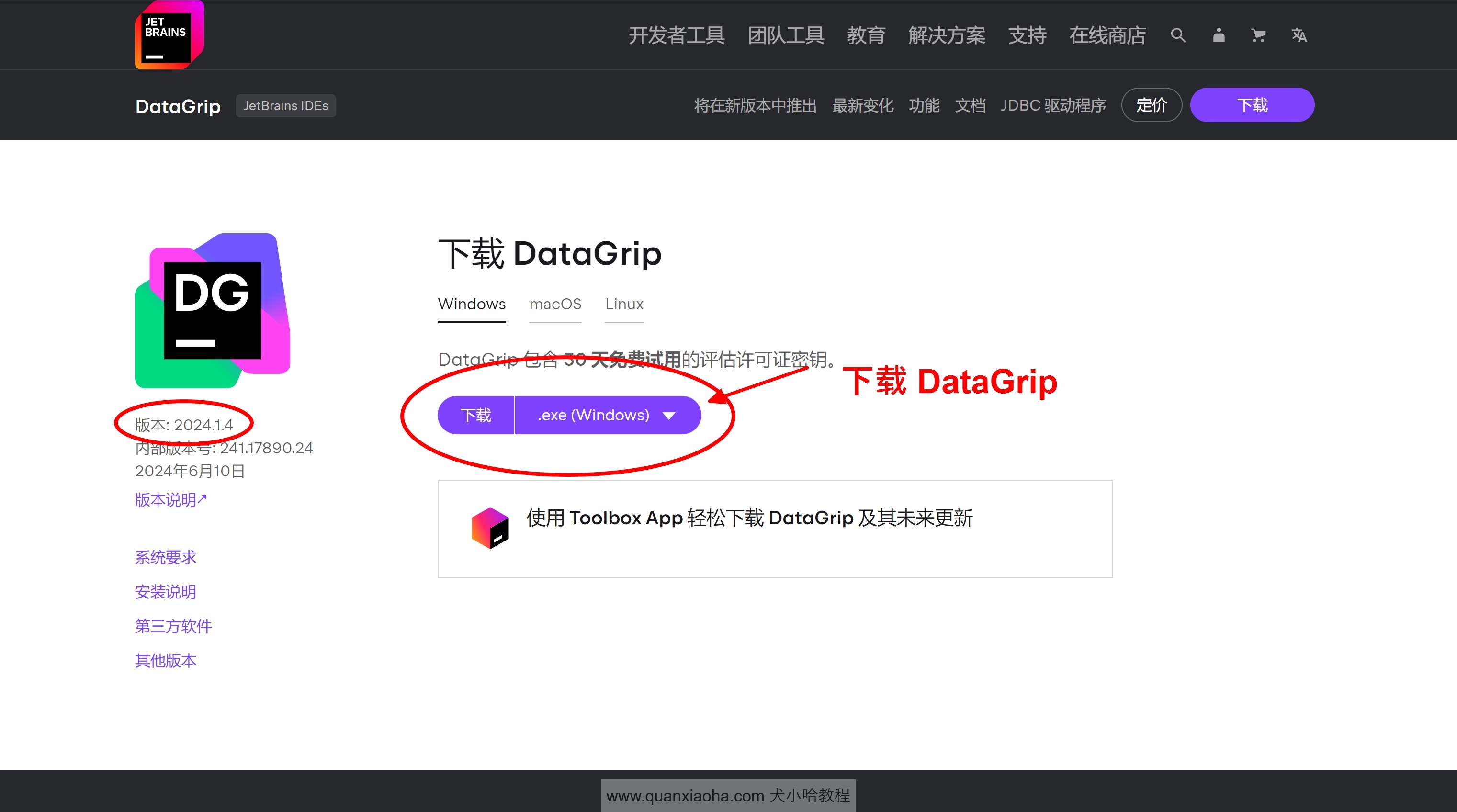 Datagrip 2024.1.4 版本官网下载