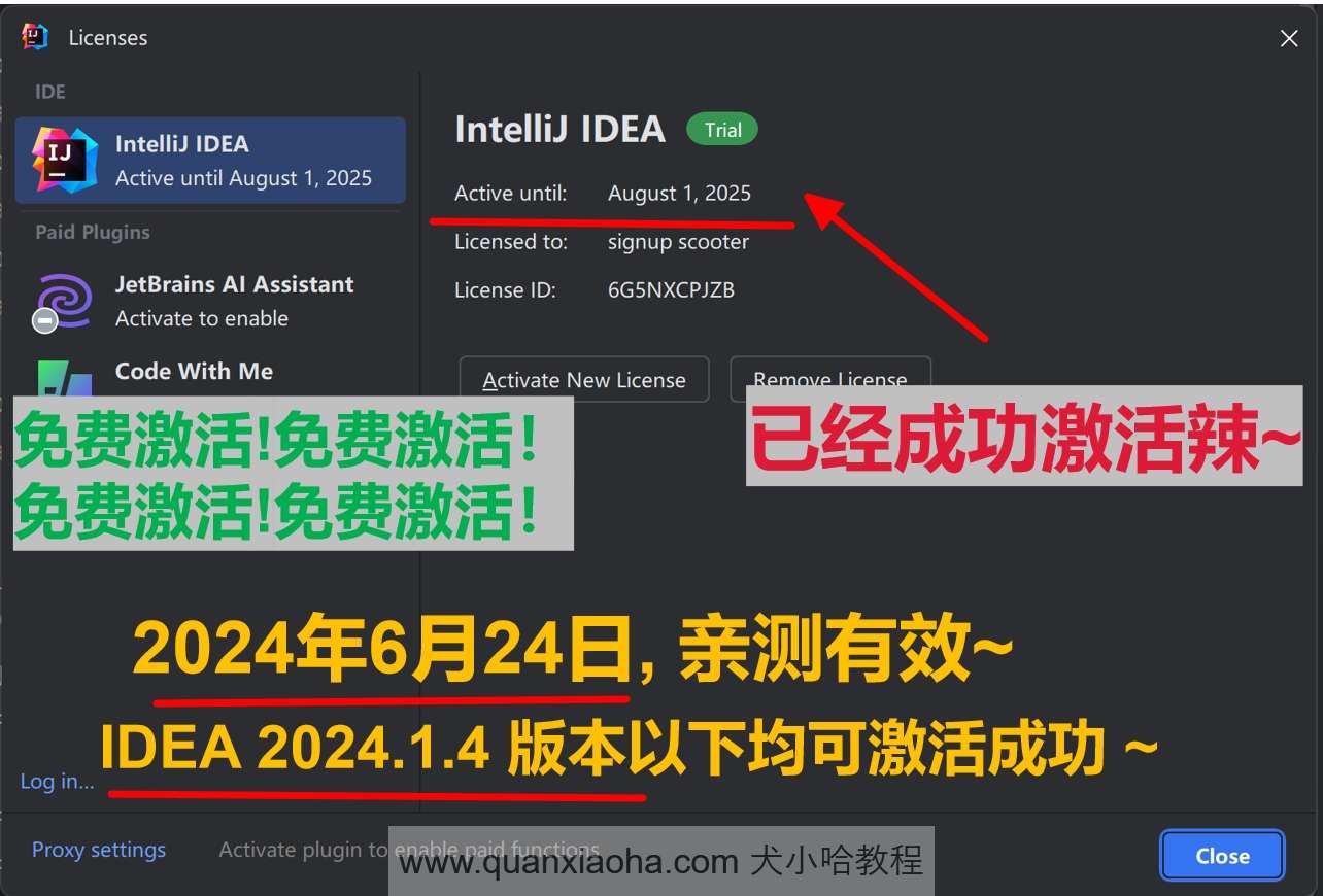 IDEA 2024.1.4 成功破解激活截图