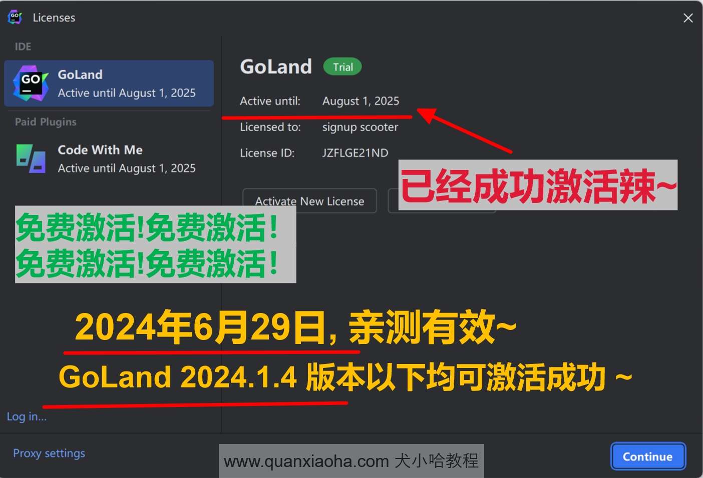 GoLand 2024.1.4 成功破解激活截图