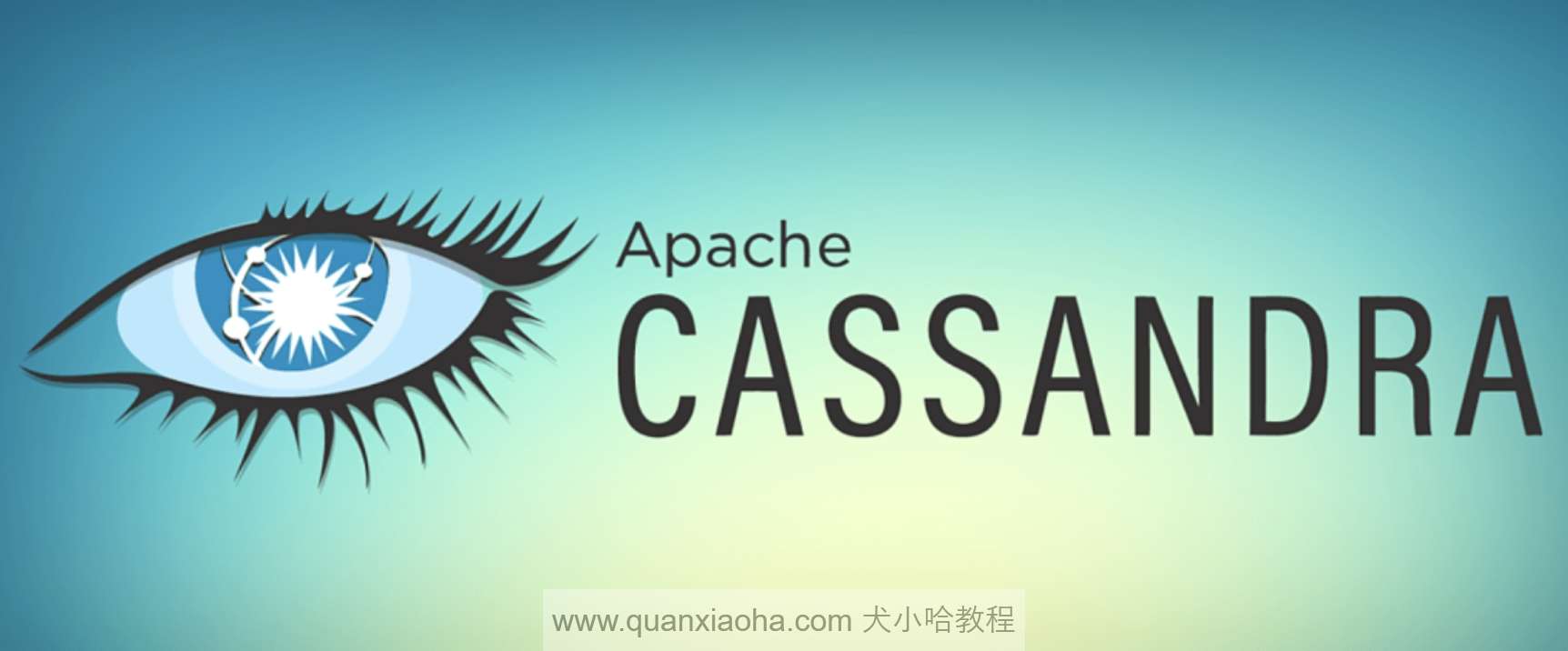 Docker 安装 Cassandra 数据库（图文教程）