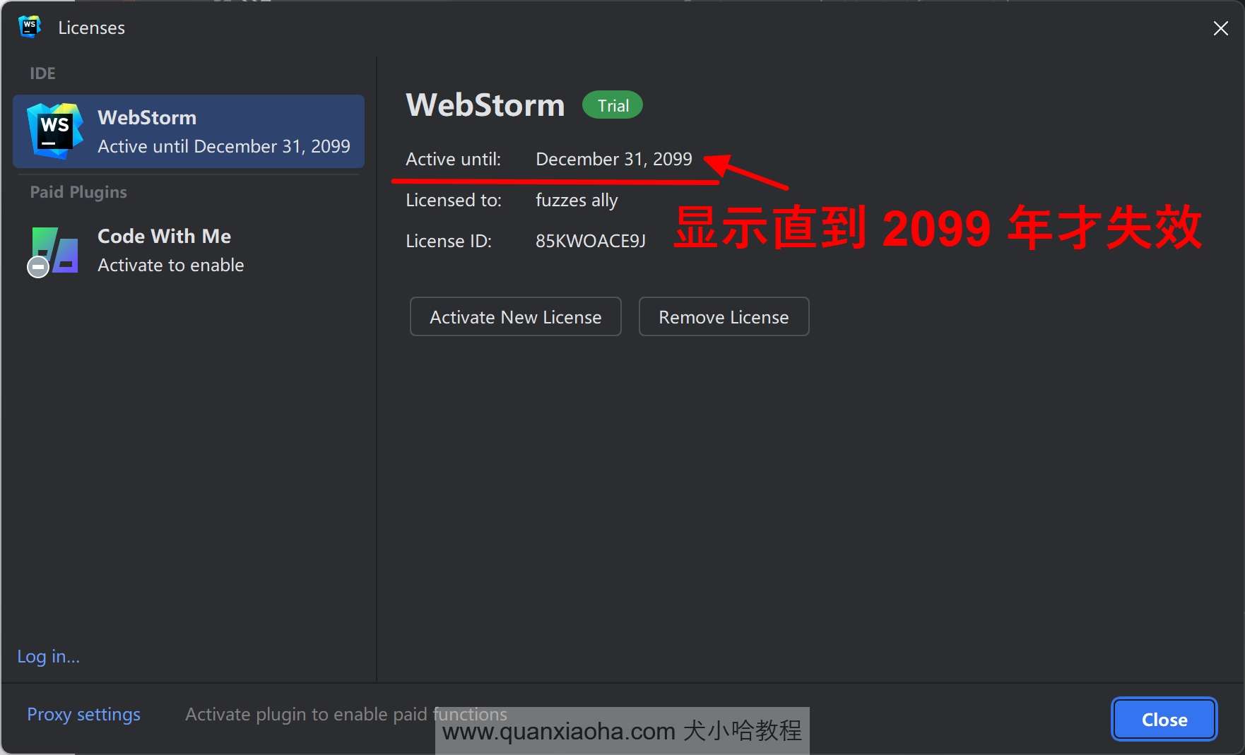 Webstorm  2024.2 已经成功激活到 2099 年