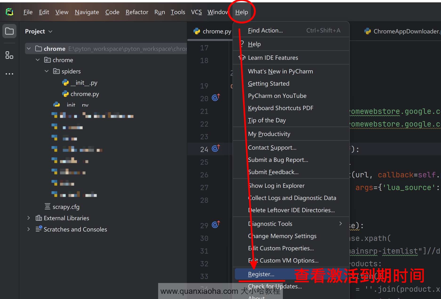 检查 Pycharm  2024.3.1 的到期时间