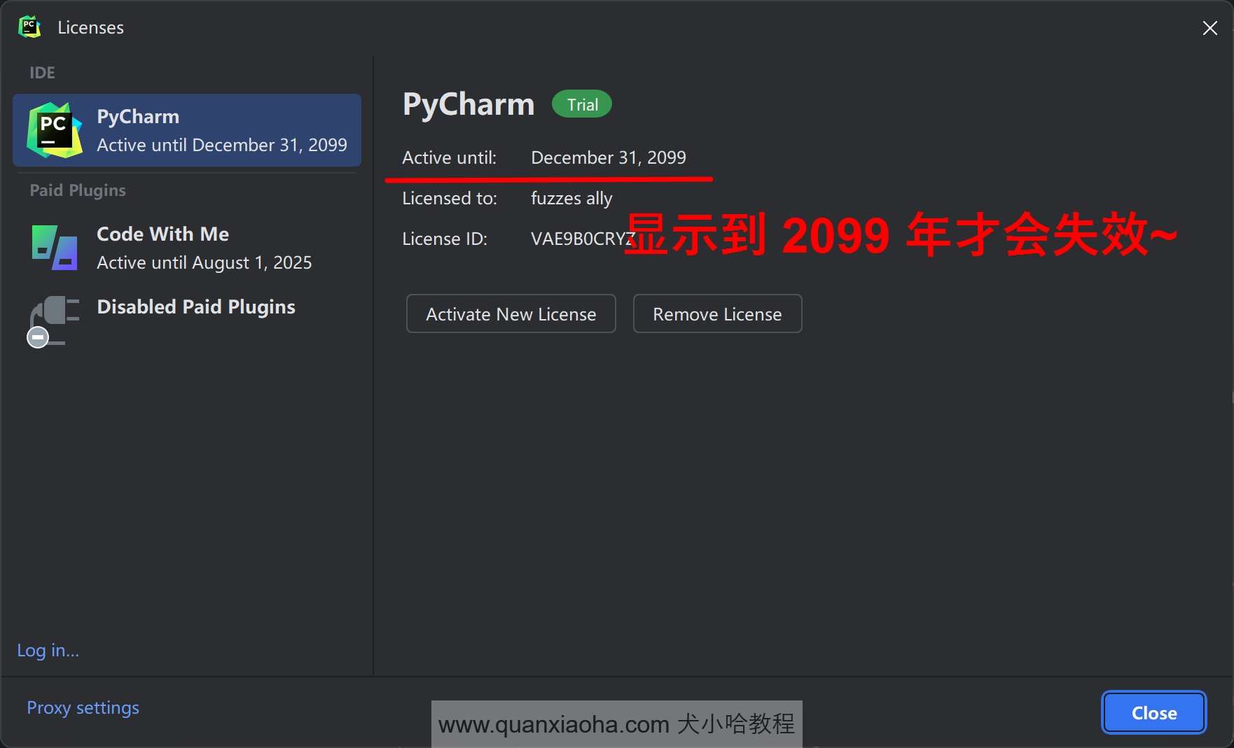 Pycharm 2024.2 最新破解版安装教程（附激活码，至2099年） office破解版安装激活 实验室设备网