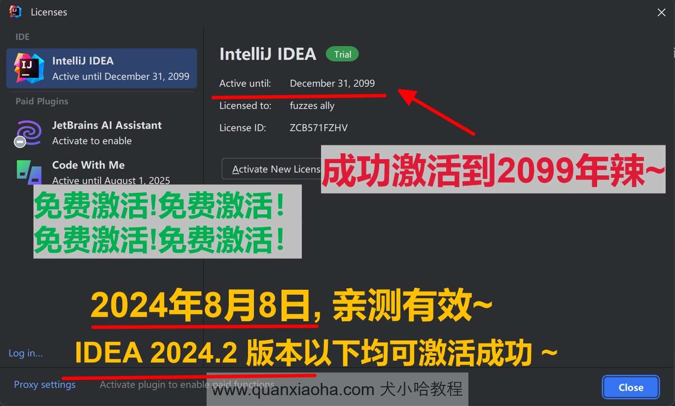 IDEA 2024.2 最新破解版安装教程（附激活码，至2099年~）