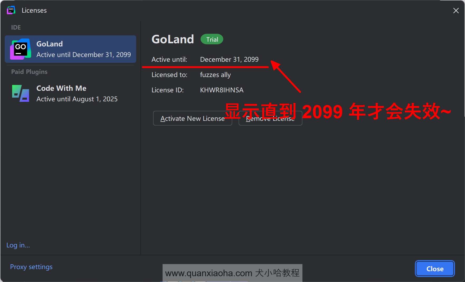 GoLand 2024.2.1 已经成功激活到 2099 年