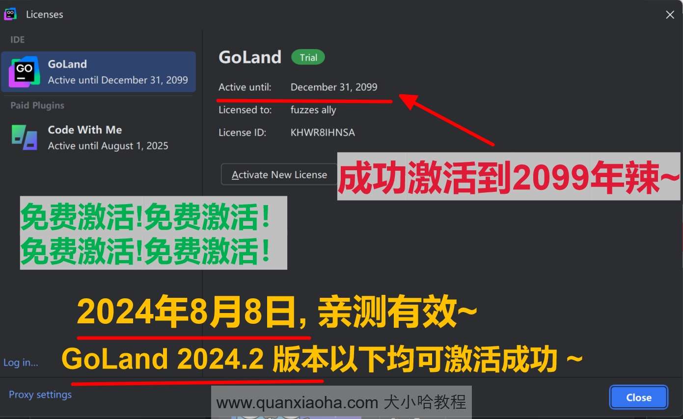 GoLand 2024.2 最新破解版安装教程（附激活码，亲测至2099年~）