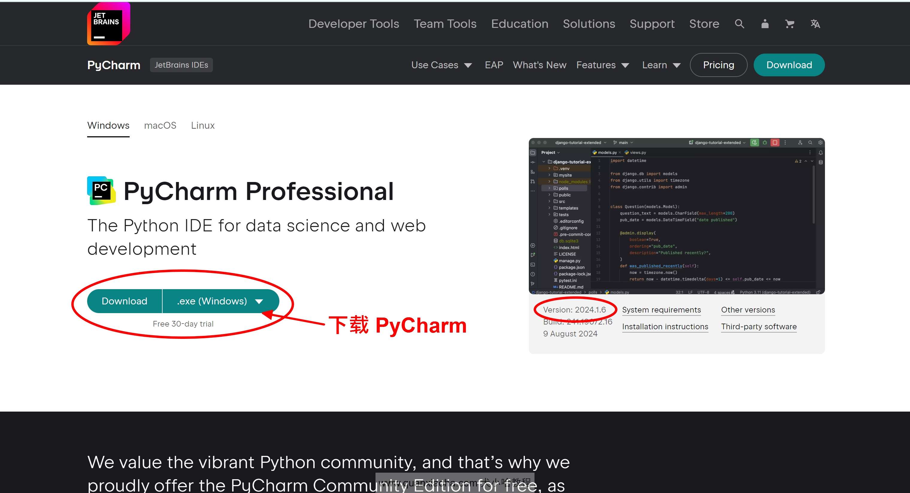 下载 Pycharm  2024.1.6 版本安装包